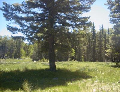Lot 63 A & B  LAKEFRONT